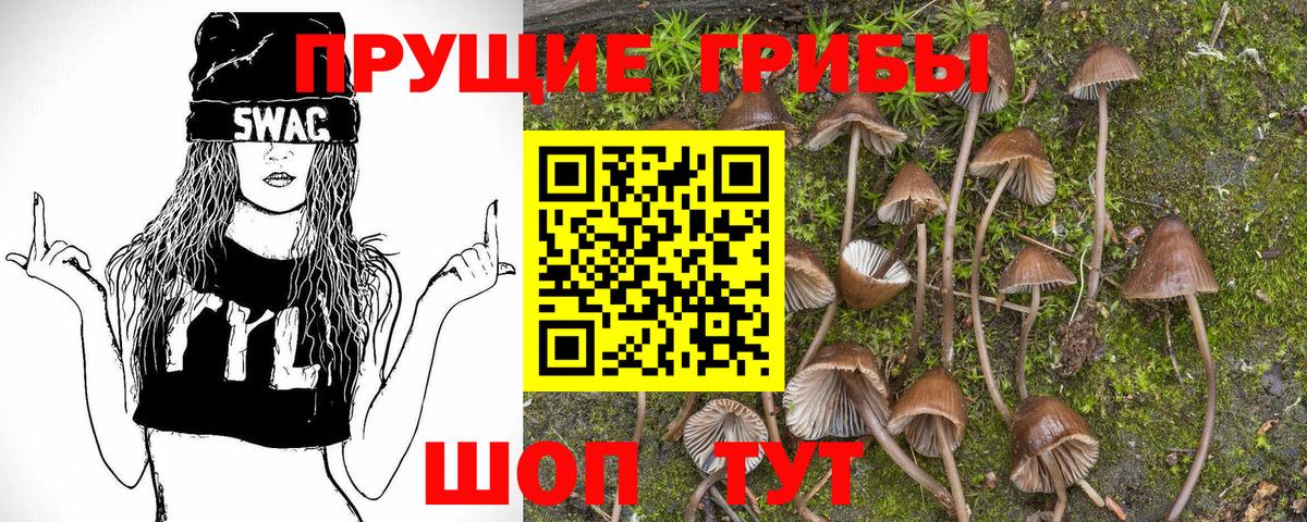 Псилоцибиновые грибы Psilocybe Ливны