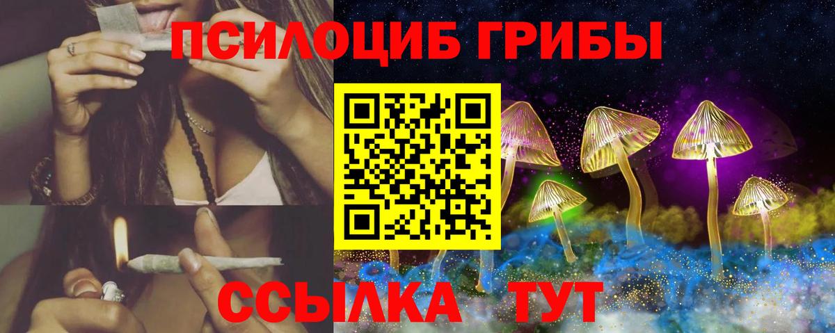 Галлюциногенные грибы Ливны